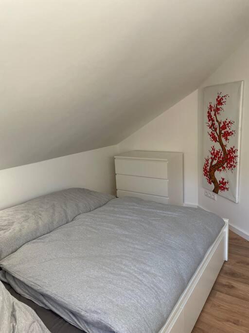 Dein Haus Am Rhein Daire Koblenz  Dış mekan fotoğraf